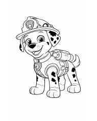 Rectificar y bruñir cilindros